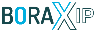 BoraxIp Logo